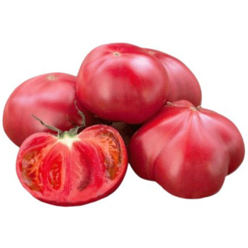 Томаты Азербайджан