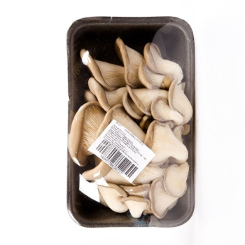 Грибы_Вешенки