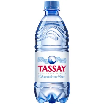 Вода минеральная Tassay негазированная, 0,5л