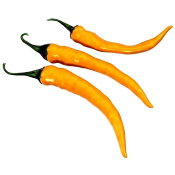 Перец острый желтый