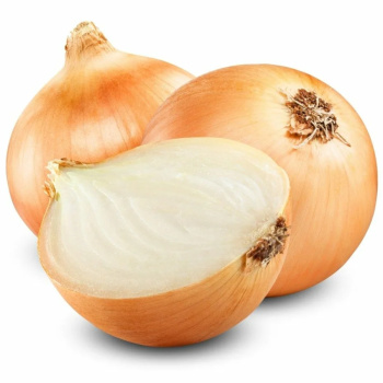 Лук Репчатый