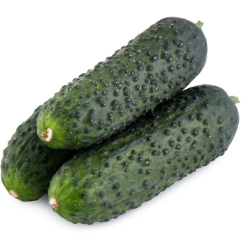 Огурец Короткоплодный колючий