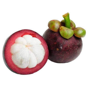 Мангустин свежий 