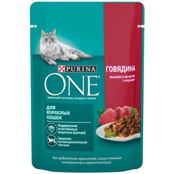 1600_(3)-no-bg-preview_(carve_photos)