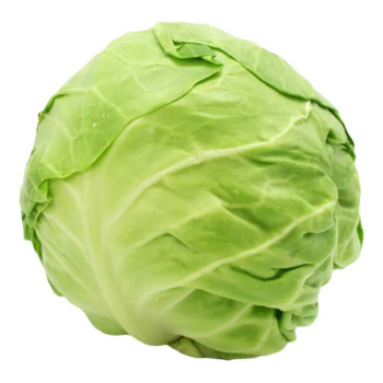 Капуста свежий урожай 